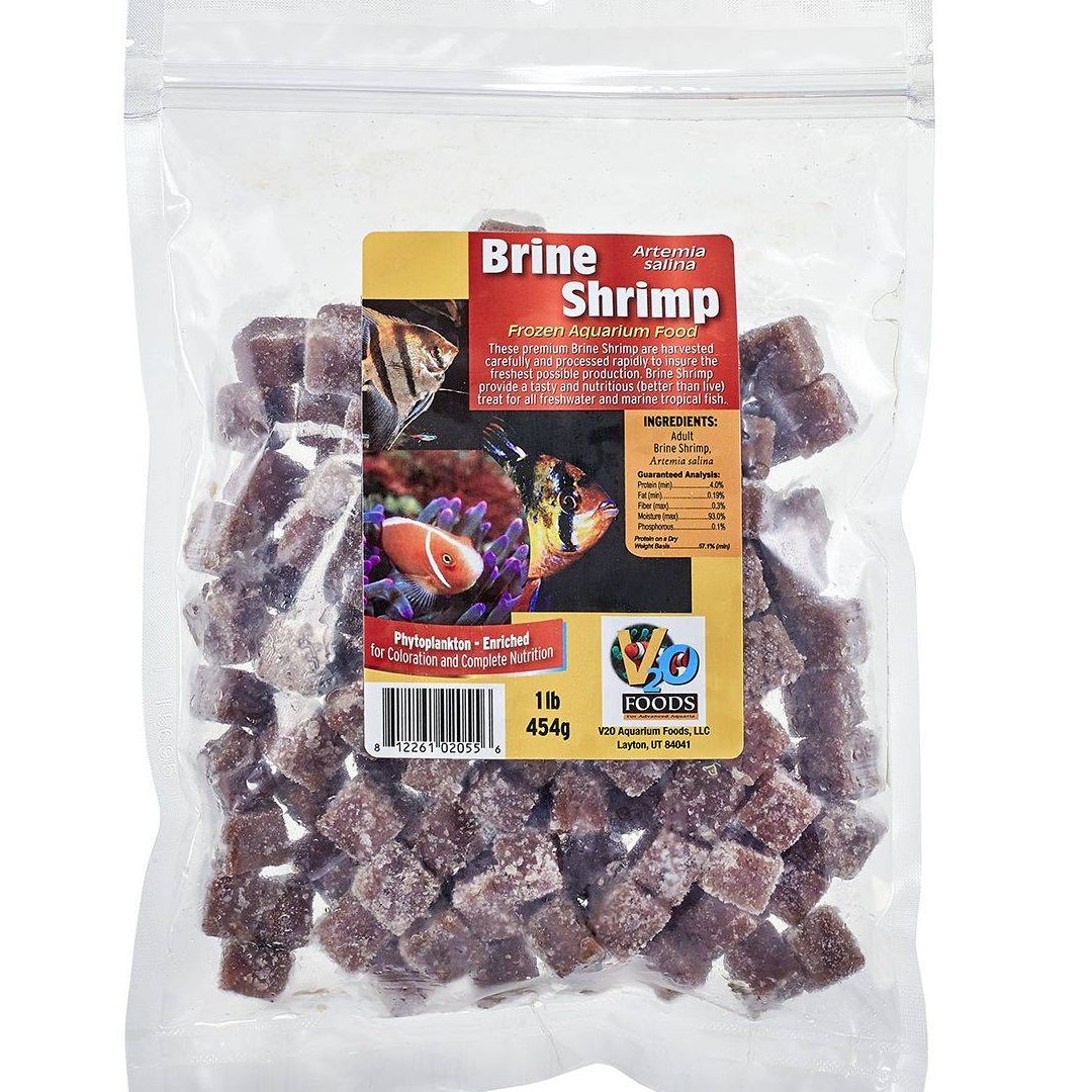 abt fresh frozen food supply pontian
