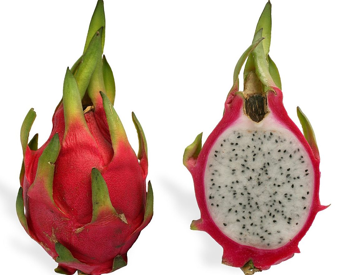 as dragon fruit