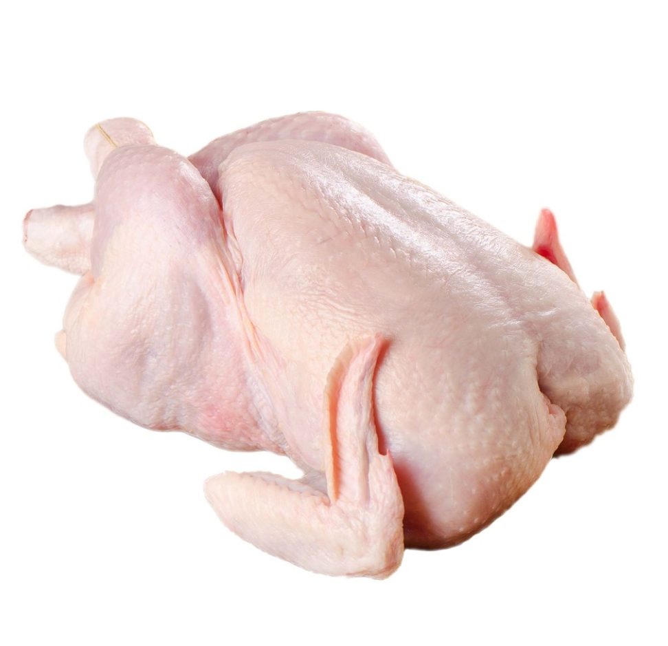 ayam segar selingsing