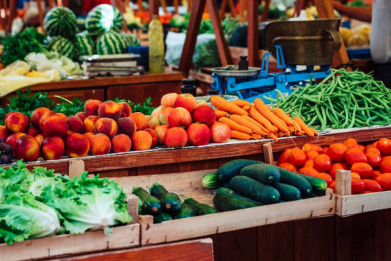 bio fresh trading