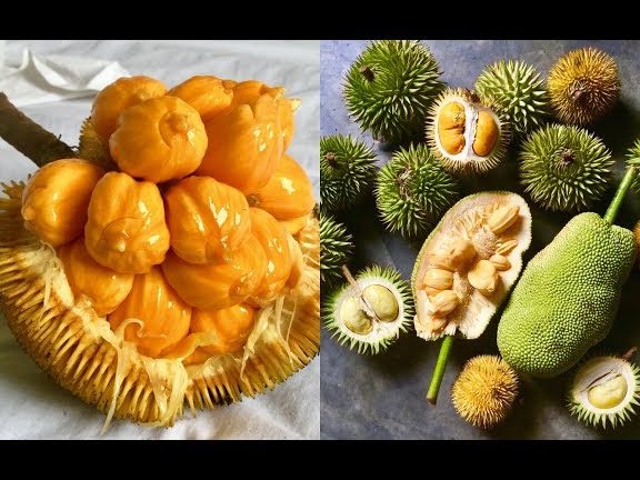 borneo fruits station