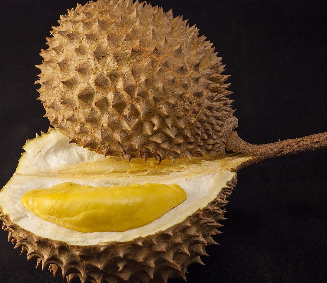 durian