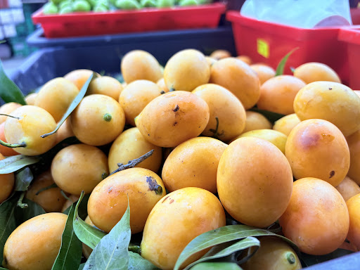 Jh wholesale trading