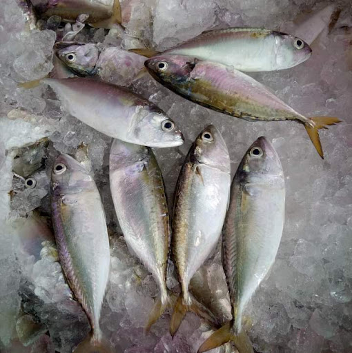 RETAK SERIBU DAN IKAN TERMENUNG