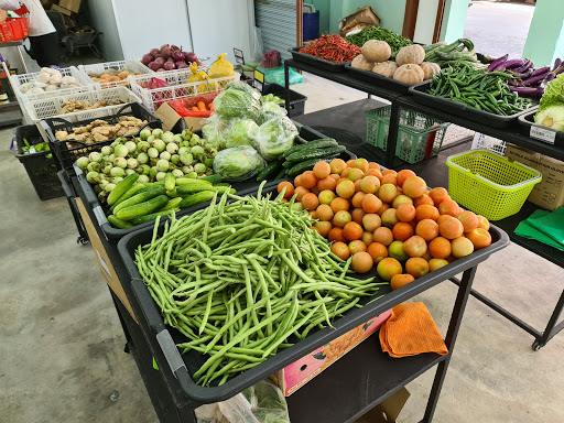 GT Vegetable Wholesale (Higo Mart)
