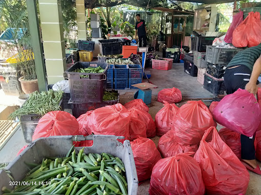 Pemborong dan Penjual sayur segar