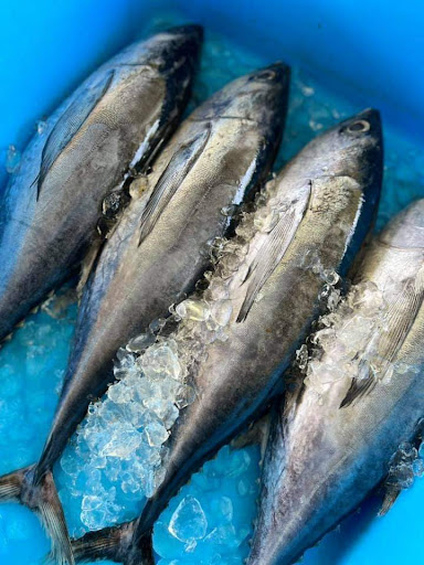 Kedai Ikan Aziz Melaka Kedai Ikan Aziz Melaka