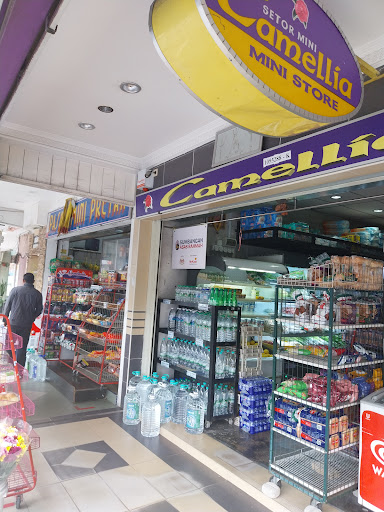 Camellia Mini Store