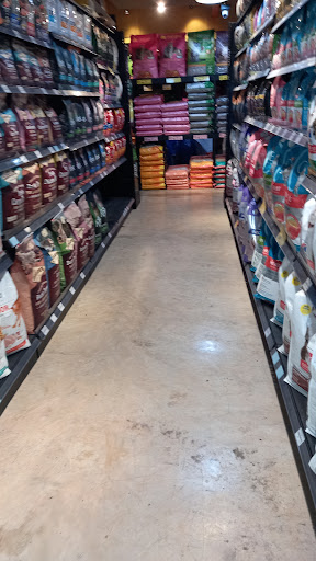 Ishah Bintong Enterprise (BINTONG)