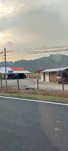 Kedai Runcit Cahaya Wasii