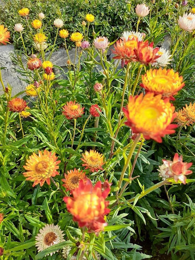 Kedai Runcit Kg. Lago