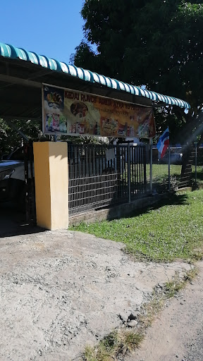 Kedai runcit adelia Ayra kg pintasan