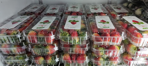 Green Health Organic