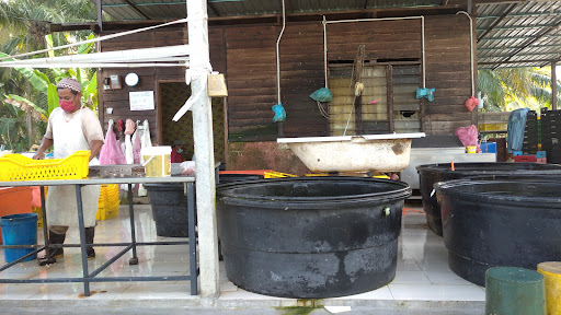 Norita Trading & Supplies (proses ayam)