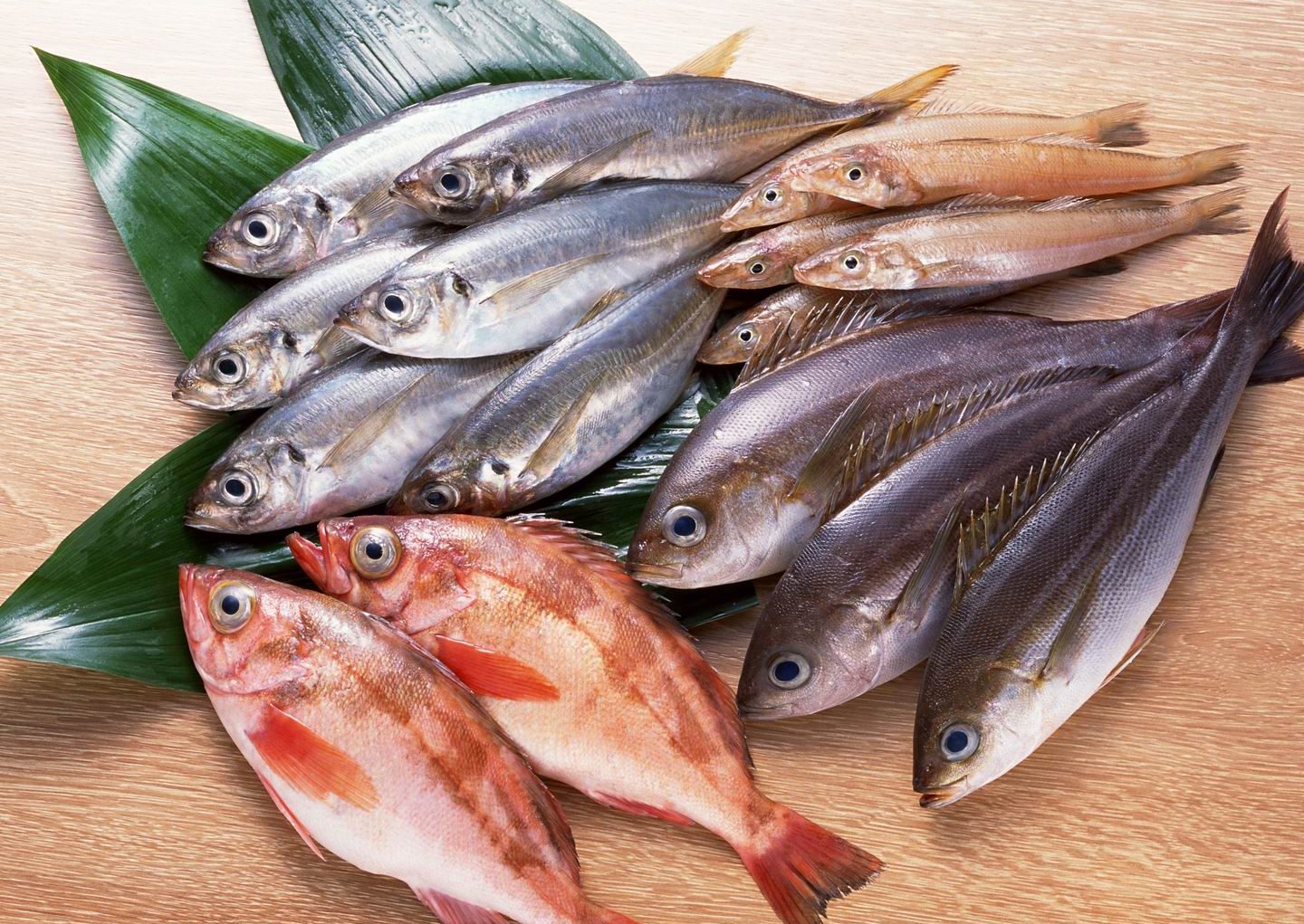 ikan segar
