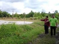 kampung lusut
