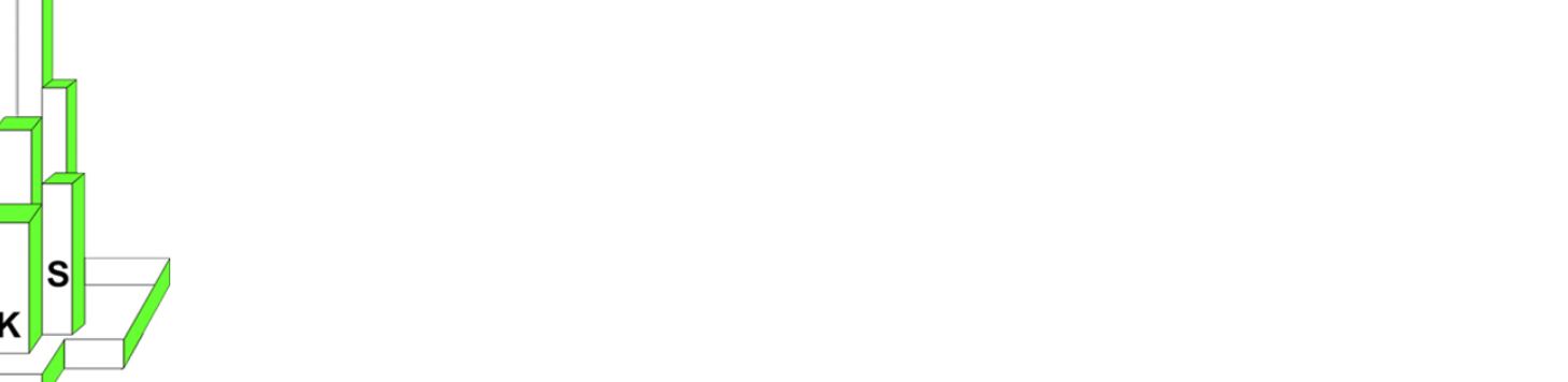 Kang Sheng Enterprise 1 kang sheng enterprise
