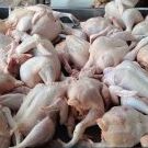 Kedai Ayam Segar Zahri 1 kedai ayam segar zahri
