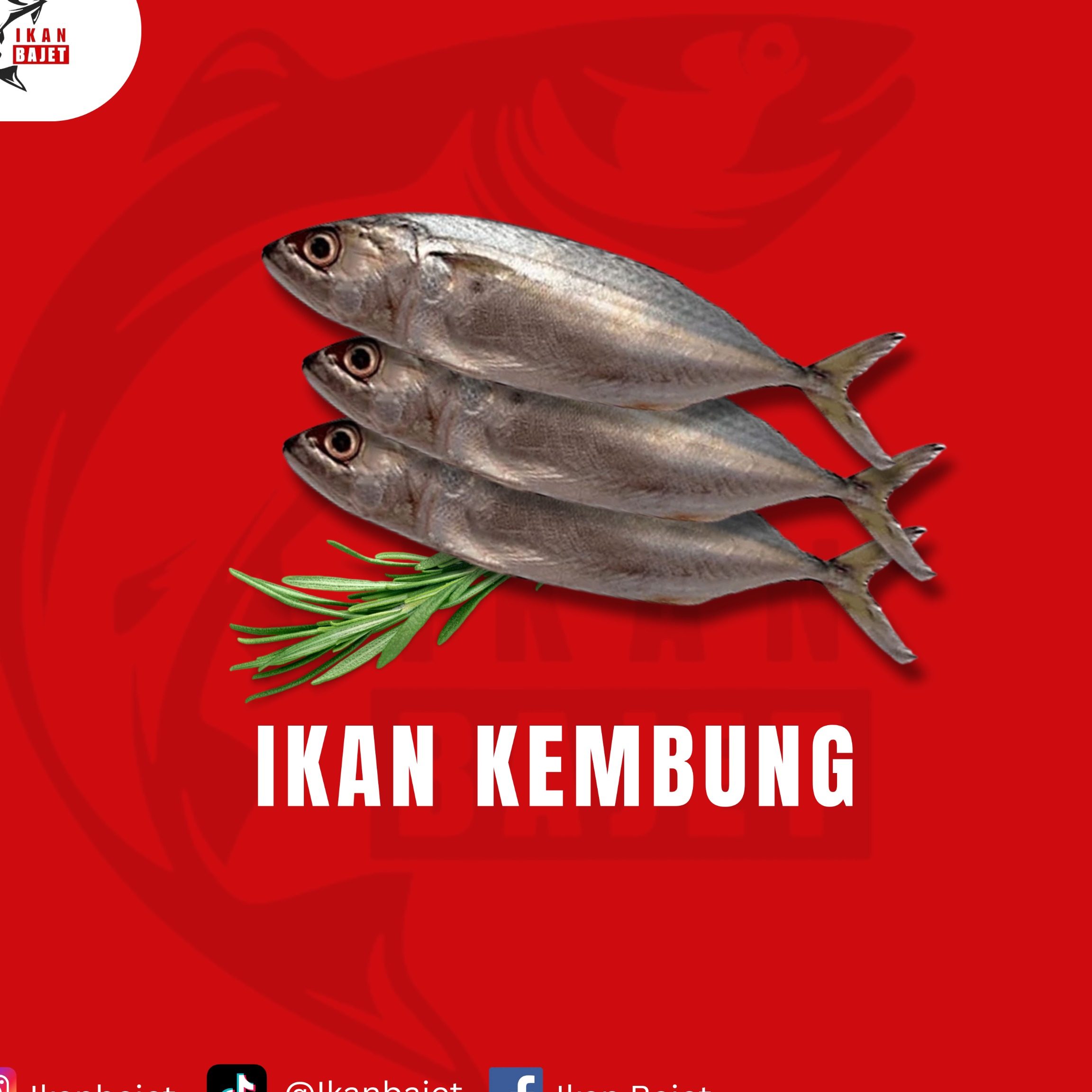 Kedai Ikan Aziz Melaka 1 kedai ikan aziz melaka