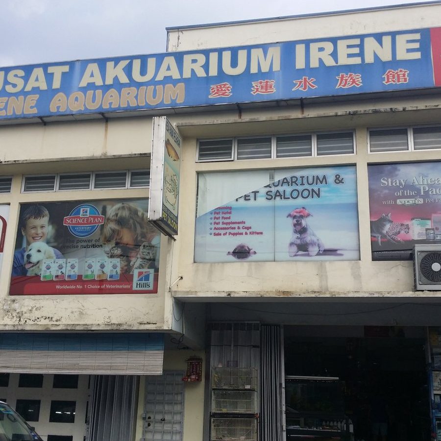 kedai ikan syafiqah nilai