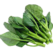 kedai runcit al falah 1