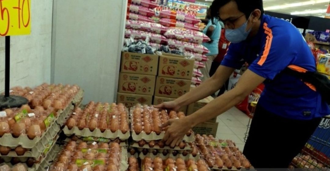 kedai runcit telur mewah kampung baru subang