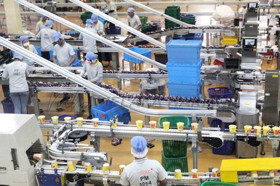 kilang makanan mamee sdn bhd