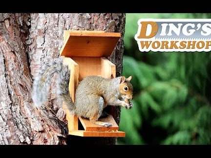 little squirrel mart e5b08fe69dbee9bca0