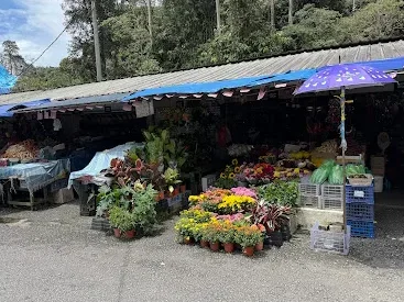 MDCH 7, JAYA VEGETABLES STORE 1 mdch 7 jaya vegetables store