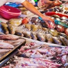 Nani seafood trading 1 nani seafood trading