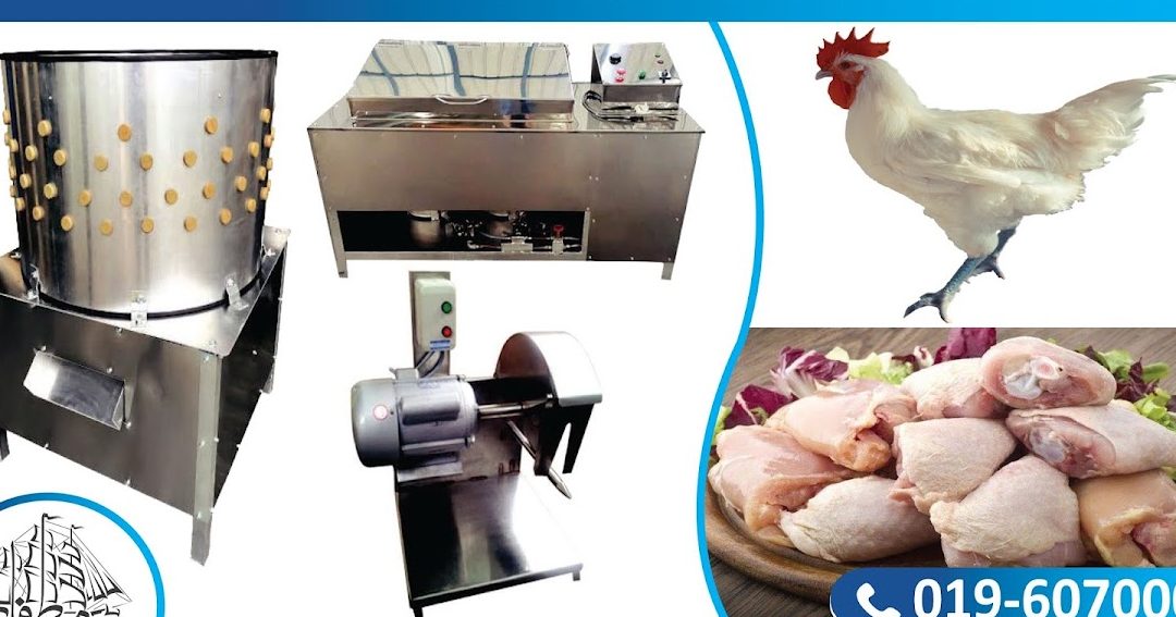 norita trading supplies proses ayam