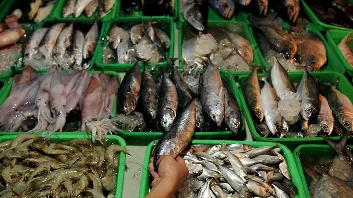 pasar ikan kg pedamar