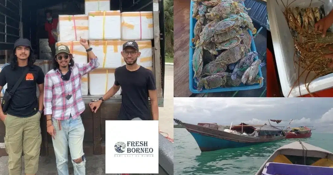 Pelantar Wak Dol Hasil Laut Segar 1 pelantar wak dol hasil laut segar