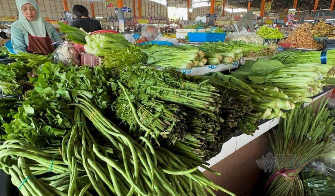 Pembekal Sayur dan Runcit RRJ 1 pembekal sayur dan runcit rrj