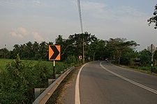 Pinang Tunggal 1 pinang tunggal