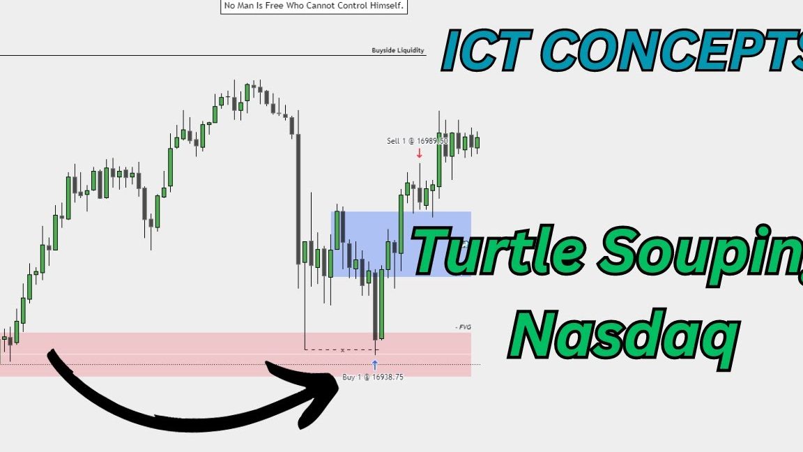 sonhuat trading e69dbee58f91e8b4b8e69893
