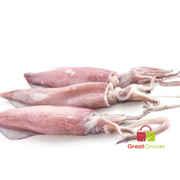 Sotong Fresh Aiman/Liesa 1 sotong fresh aiman liesa