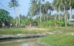 sugo village tanjung bungah